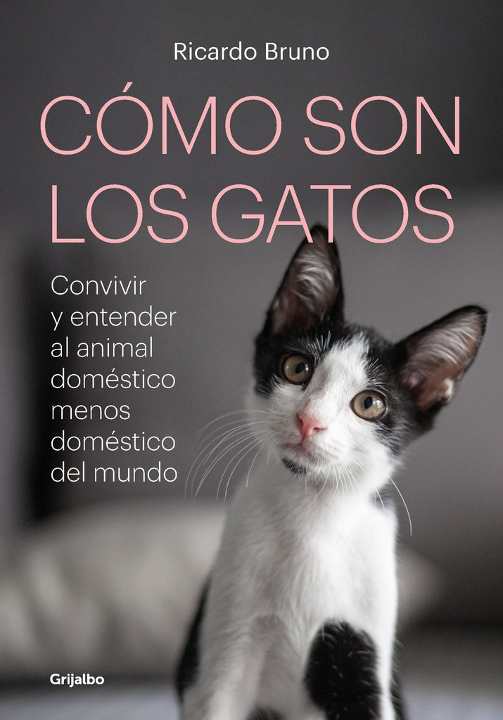 COMO SON LOS GATOS? | Ricardo Bruno