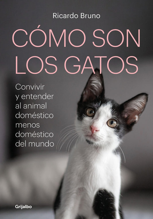COMO SON LOS GATOS? | Ricardo Bruno