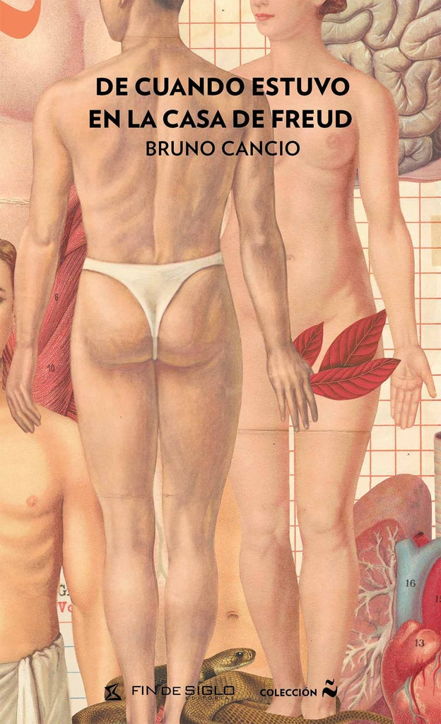 DE CUANDO ESTUVO EN LA CASA DE FREUD | Bruno Cancio