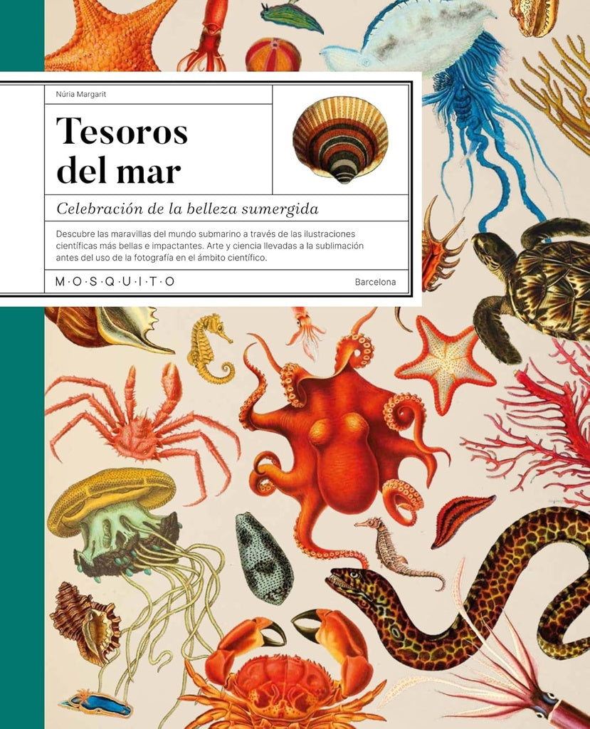 TESOROS DEL MAR | Nuria Margarit