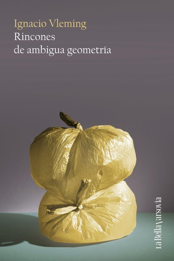 RINCONES DE AMBIGUA GEOMETRIA | Ignacio Vleming