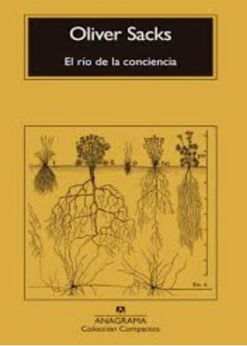 EL RIO DE LA CONCIENCIA | OLIVER SACKS