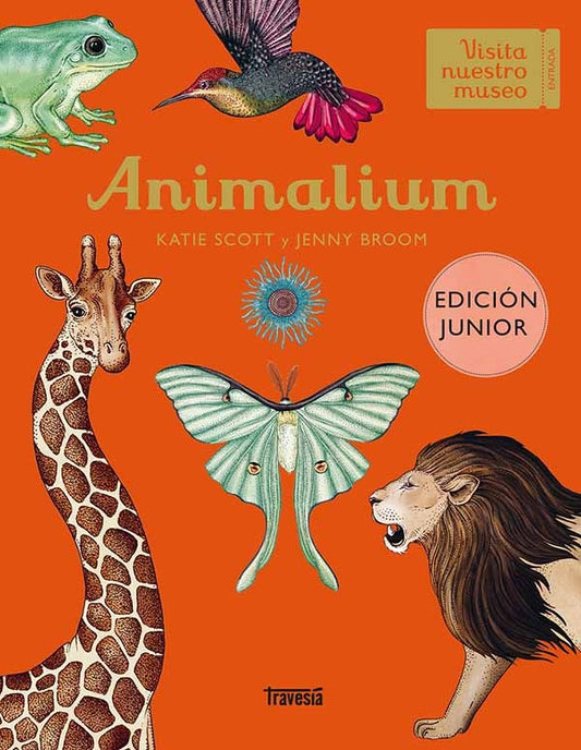 ANIMALIUM EDICION JUNIOR | Karen Scott