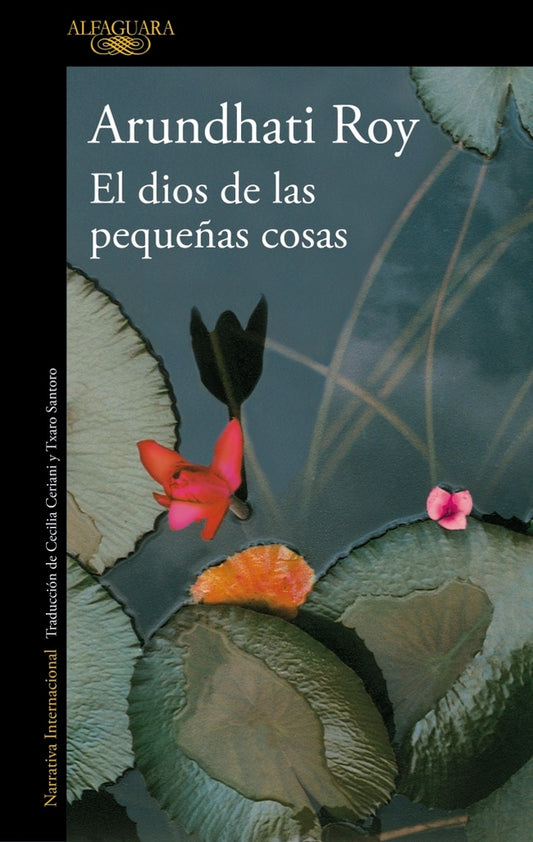 EL DIOS DE LAS PEQUEÑAS COSAS | ARUNDHATI ROY