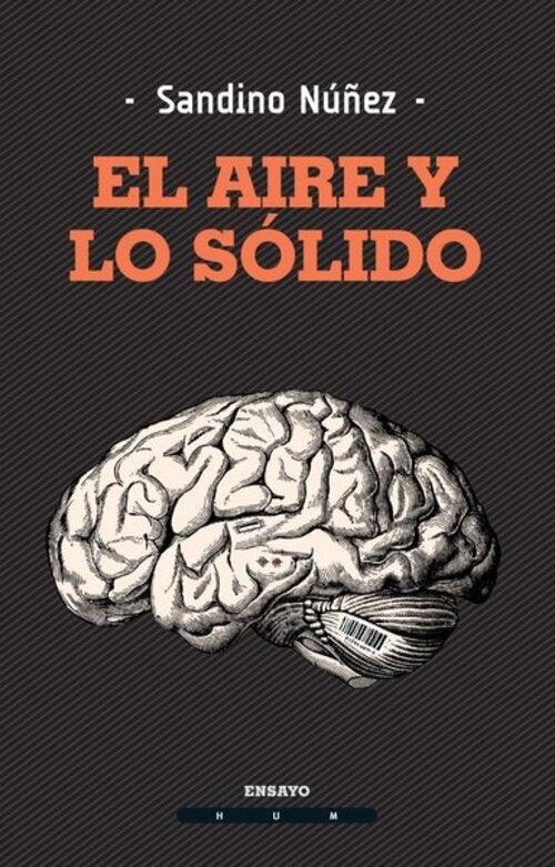 EL AIRE Y LO SOLIDO | SANDINO NUÑEZ