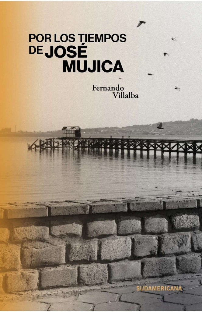POR LOS TIEMPOS DE JOSE MUJICA | FERNANDO VILLALBA