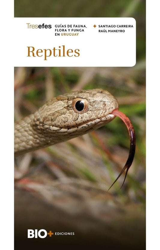 REPTILES  | RAUL/ CARREIRA  SANTIAGO MANEYRO