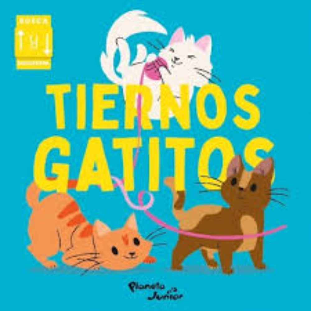 TIERNOS GATITOS | ANA HURLEY