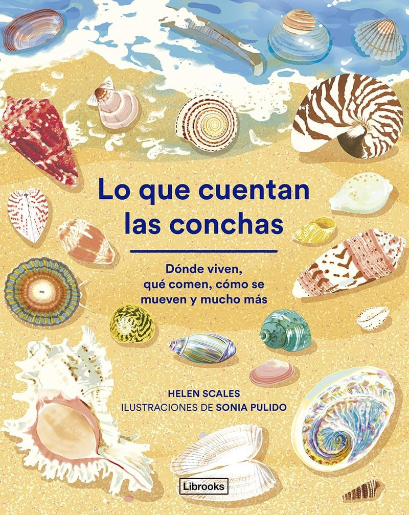 LO QUE CUENTAN LAS CONCHAS (Nuevo) | HELEN SCALES