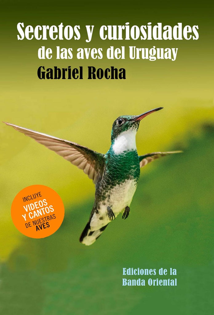 SECRETOS Y CURIOSIDADES DE LAS AVES DEL URUGUAY | GABRIEL ROCHA